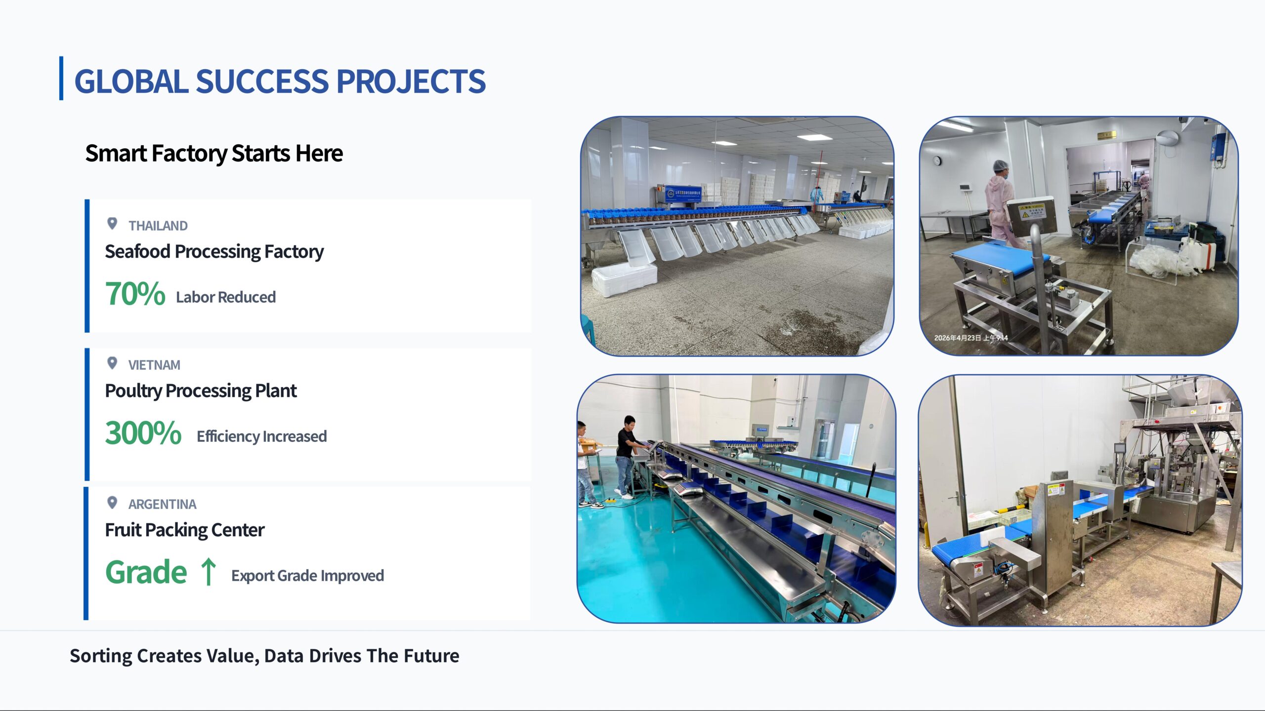 Automated food sorting production line