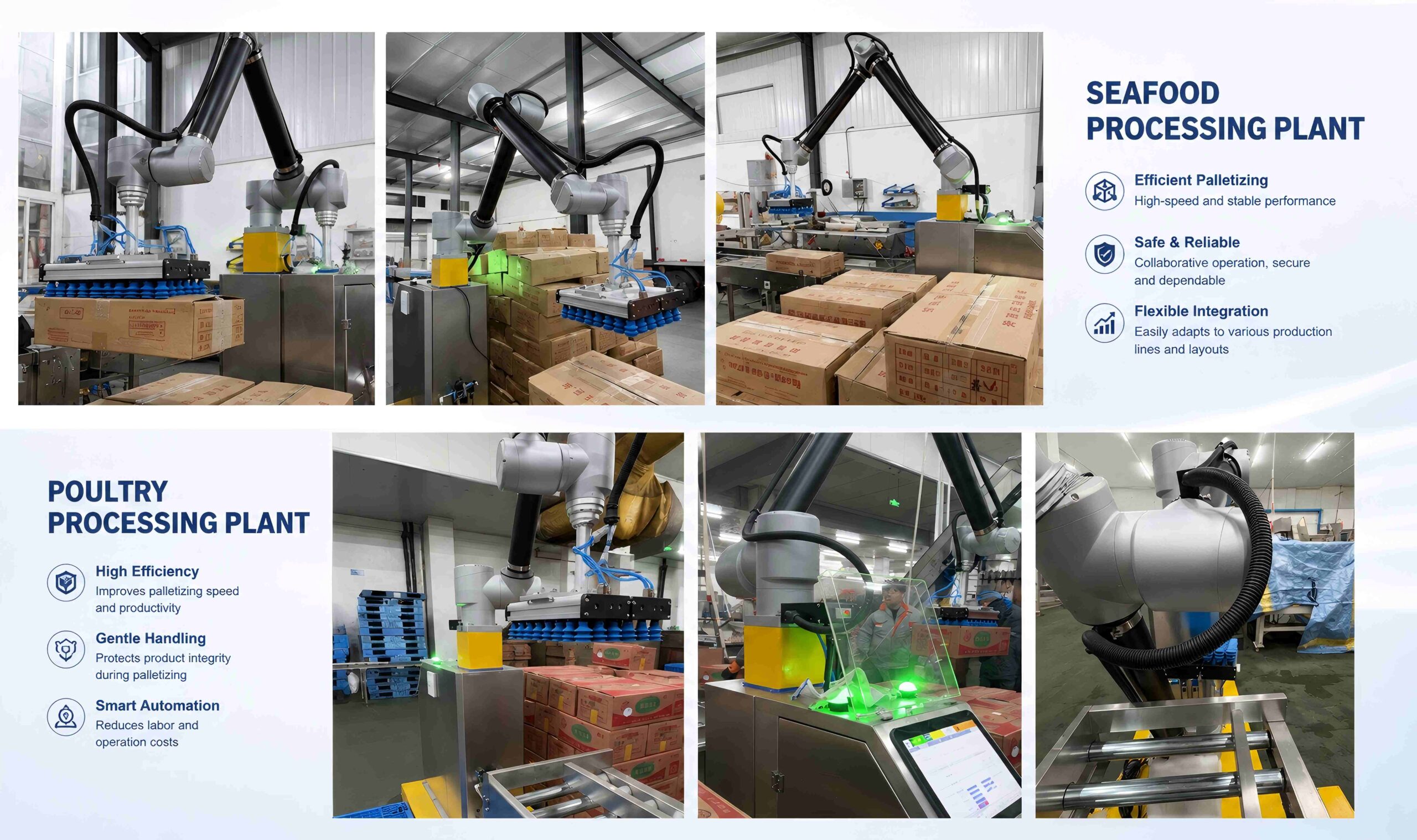 Longreat robotic palletizing system customer project with automatic packing and palletizing solution