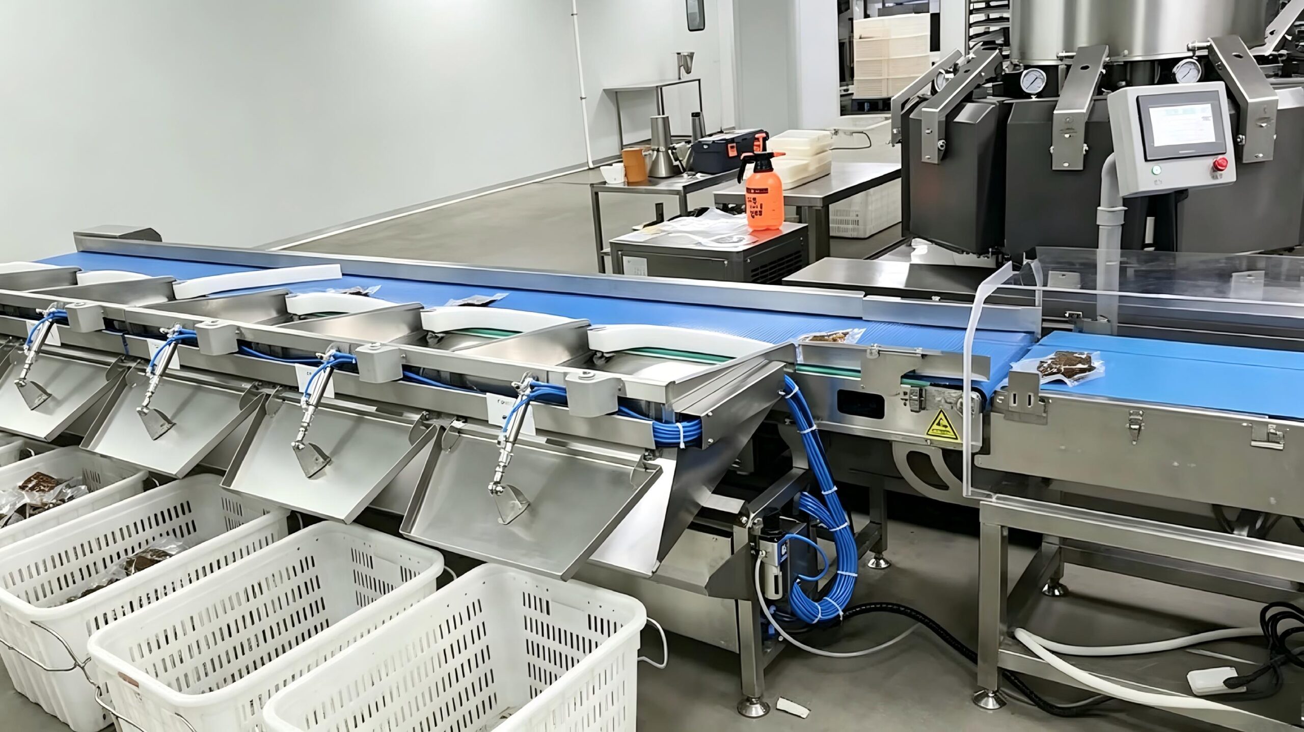 Automatic weight sorting machine installed in a food processing factory for accurate product grading