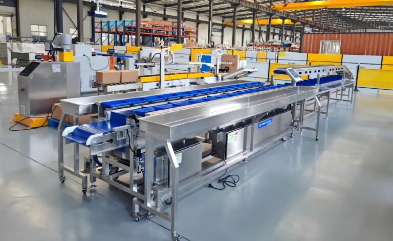 Malaysia durian processing automation project with 26 head combination weigher and double layer conveyor system