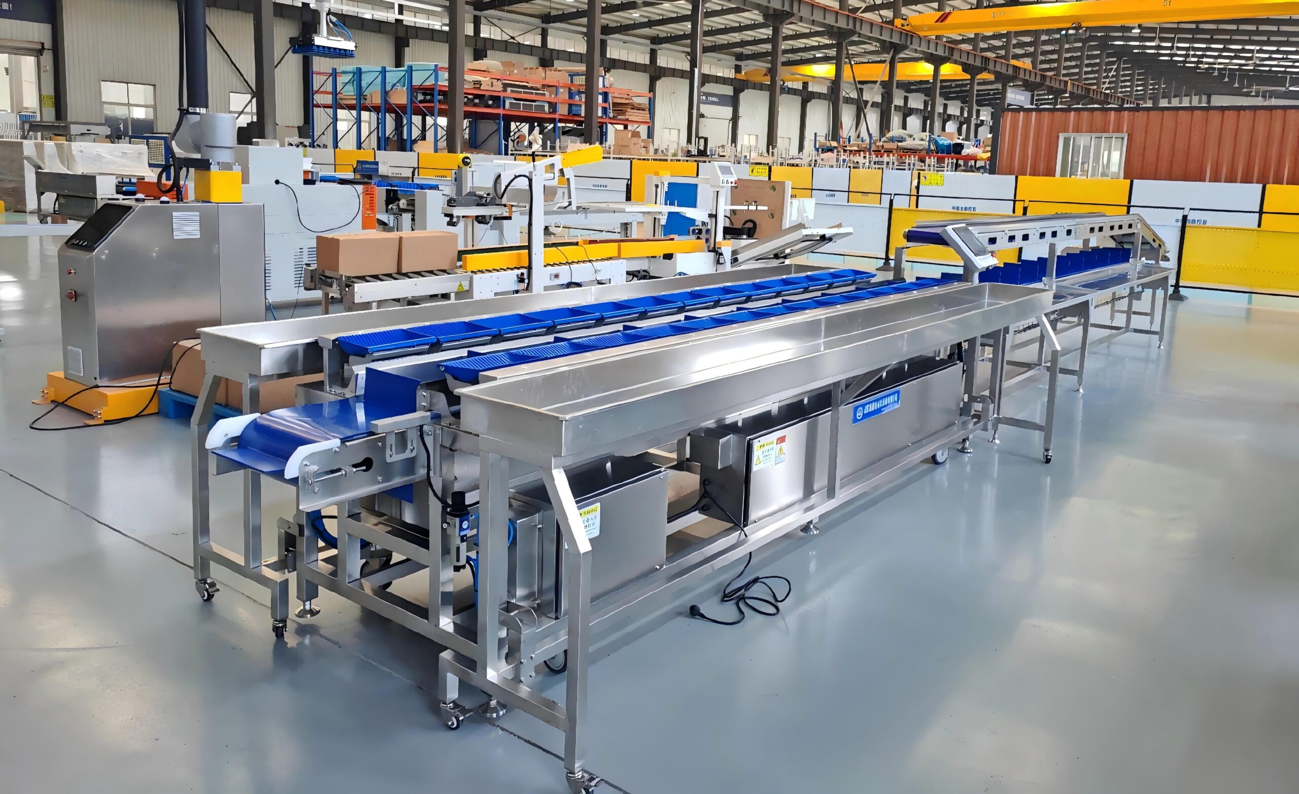 Malaysia durian processing automation project with 26 head combination weigher and double layer conveyor system