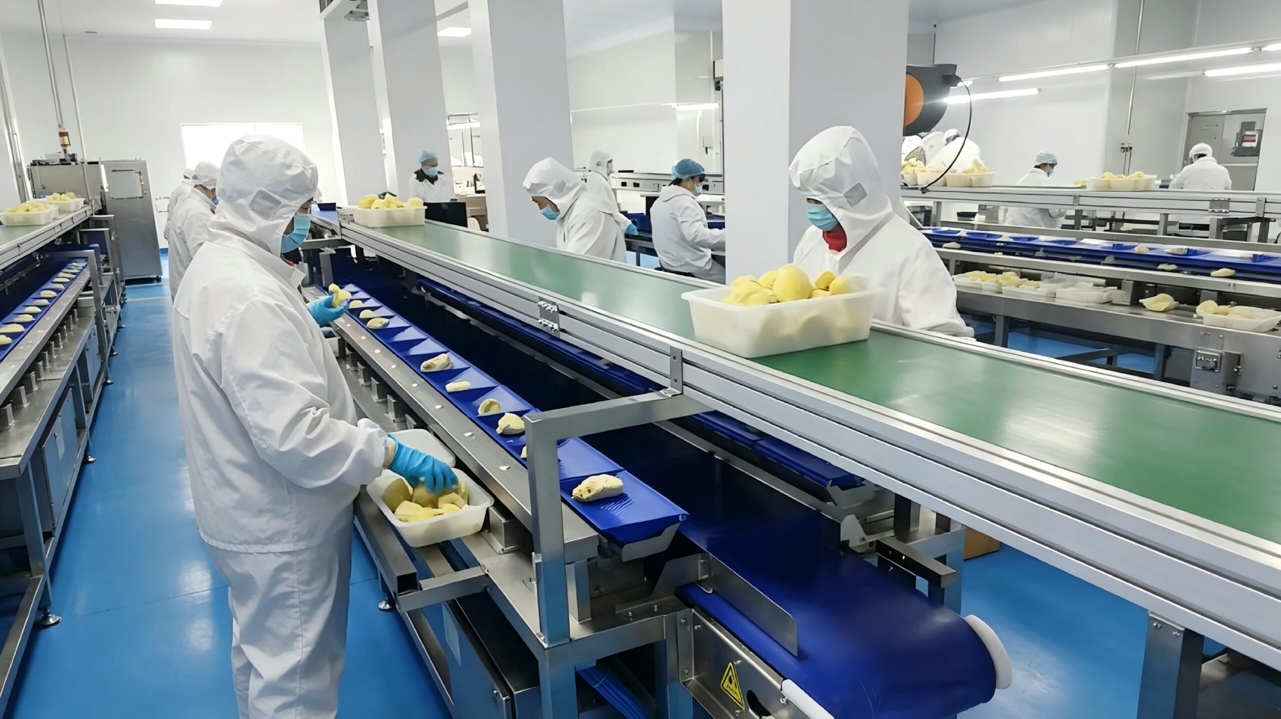 Multihead weigher used in seafood and meat processing line
