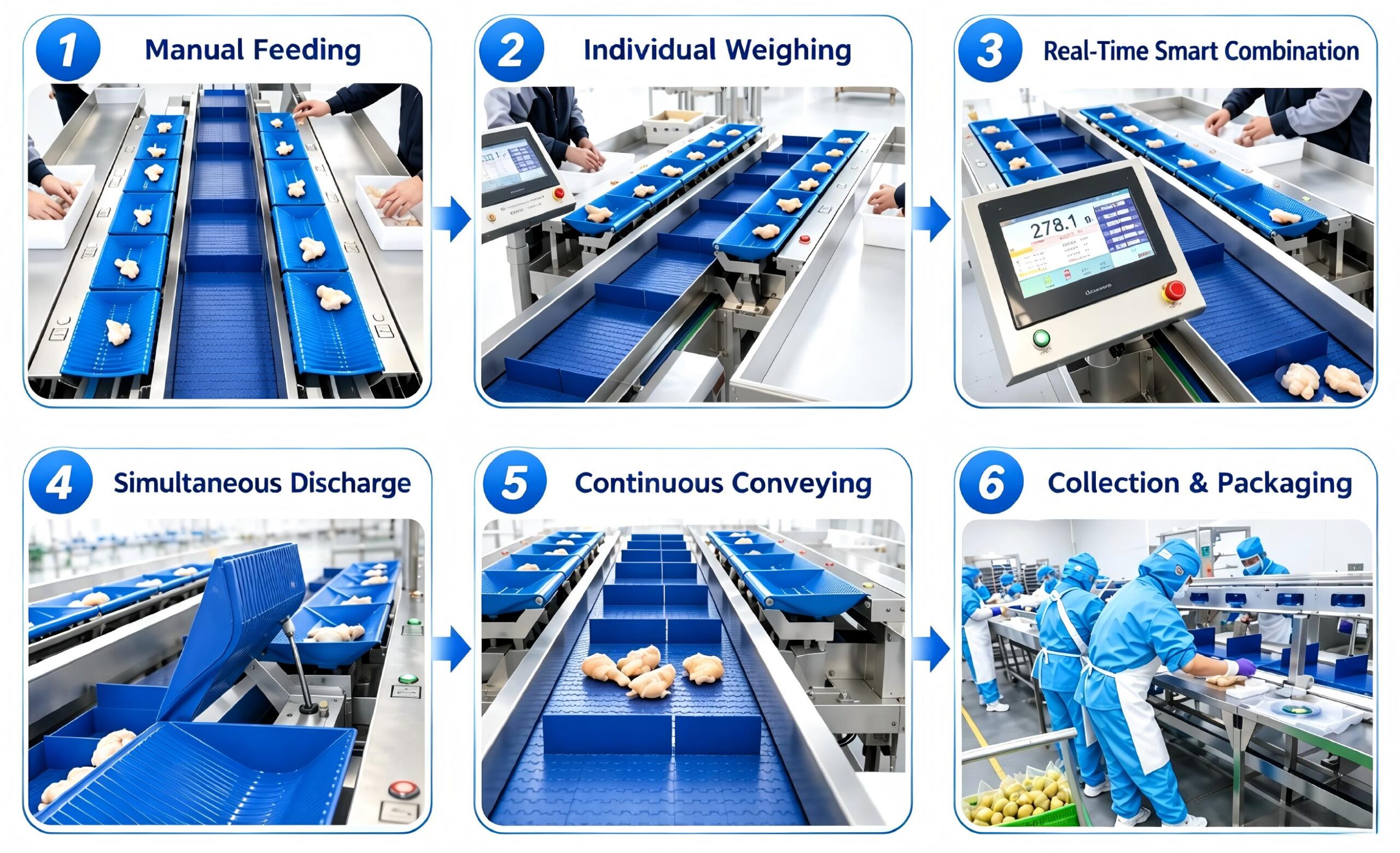Multihead weigher working principle with weighing hopper and combination weighing system