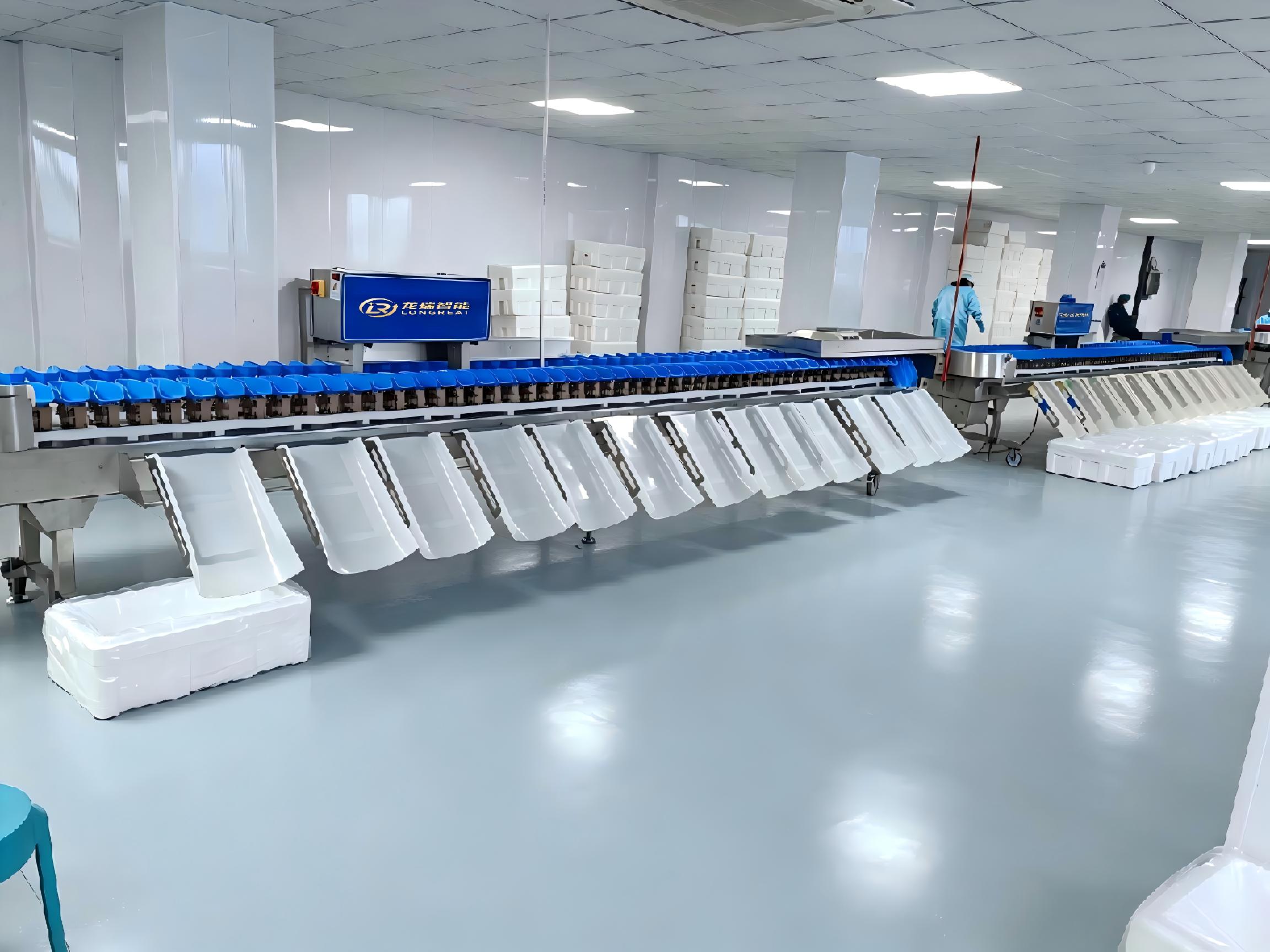 Vietnam seafood processing project with Longreat weight sorting machine