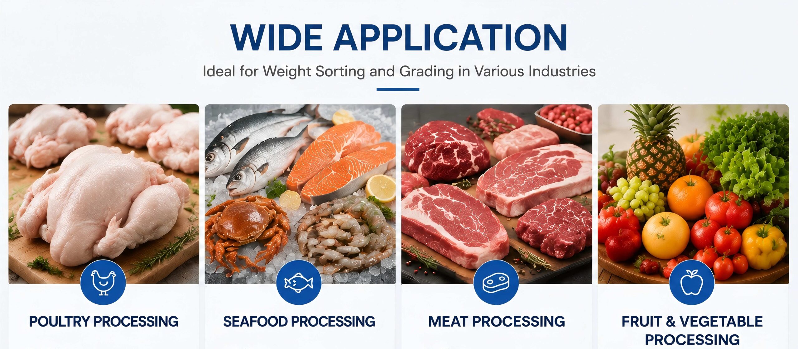 Weight sorting machine applications for poultry, seafood, meat and fruit processing industries